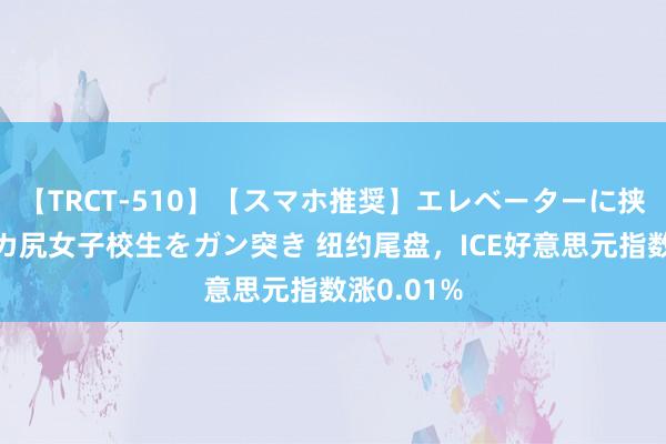 【TRCT-510】【スマホ推奨】エレベーターに挟まれたデカ尻女子校生をガン突き 纽约尾盘，ICE好意思元指数涨0.01%