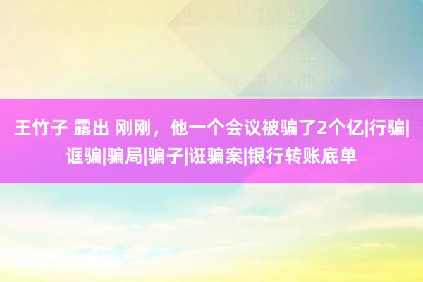 王竹子 露出 刚刚，他一个会议被骗了2个亿|行骗|诓骗|骗局|骗子|诳骗案|银行转账底单